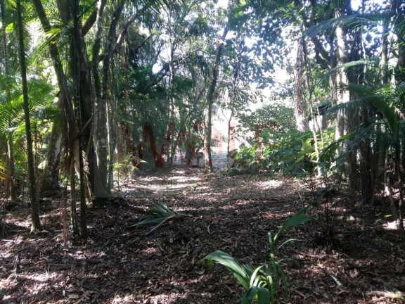 Imagem Terreno à Venda, 12.904 m² em Saiva - Antonina Imagem Terreno à Venda, 12.904 m² em Saiva - Antonina