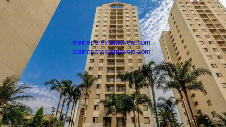 Imagem Apartamento com 3 Quartos à Venda, 65 m² em Jardim Caboré - São Paulo Imagem Apartamento com 3 Quartos à Venda, 65 m² em Jardim Caboré - São Paulo