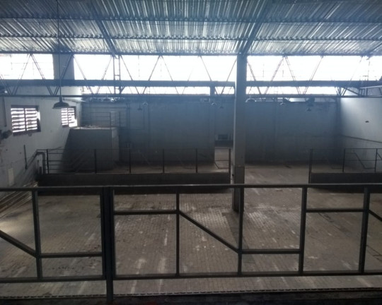 Imagem Imóvel à Venda, 1.400 m² em Jóquei Clube - Juiz De Fora Imagem Imóvel à Venda, 1.400 m² em Jóquei Clube - Juiz De Fora