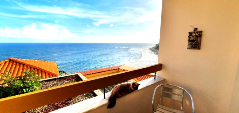Imagem Apartamento com 1 Quarto à Venda, 47 m² em Ondina - Salvador Imagem Apartamento com 1 Quarto à Venda, 47 m² em Ondina - Salvador