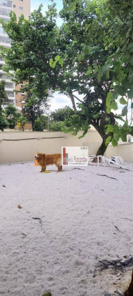 Imagem Apartamento com 2 Quartos à Venda, 51 m² em Campestre - Santo André