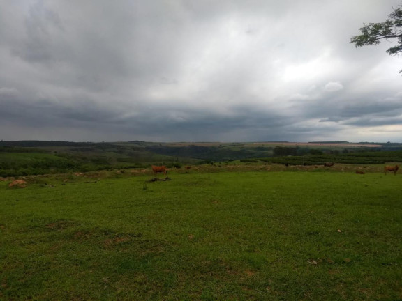 Imagem Fazenda à Venda, 183 m² em Garça - Garça Imagem Fazenda à Venda, 183 m² em Garça - Garça