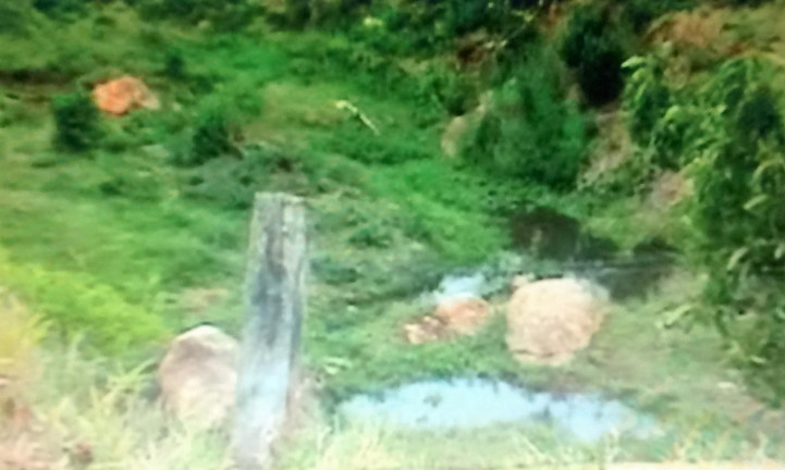 Imagem Fazenda à Venda, 111 m² em Rural - Amparo Imagem Fazenda à Venda, 111 m² em Rural - Amparo