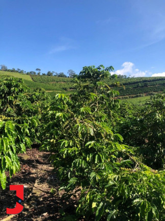 Imagem Fazenda à Venda, em Vale Taboca - Santa Teresa Imagem Fazenda à Venda, em Vale Taboca - Santa Teresa