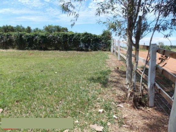 Imagem Imóvel com 2 Quartos à Venda, 42.350 m² em Sitio Novo - Artur Nogueira Imagem Imóvel com 2 Quartos à Venda, 42.350 m² em Sitio Novo - Artur Nogueira