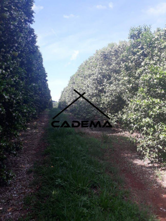 Imagem Fazenda à Venda, 300 m² em Area Rural - Lins