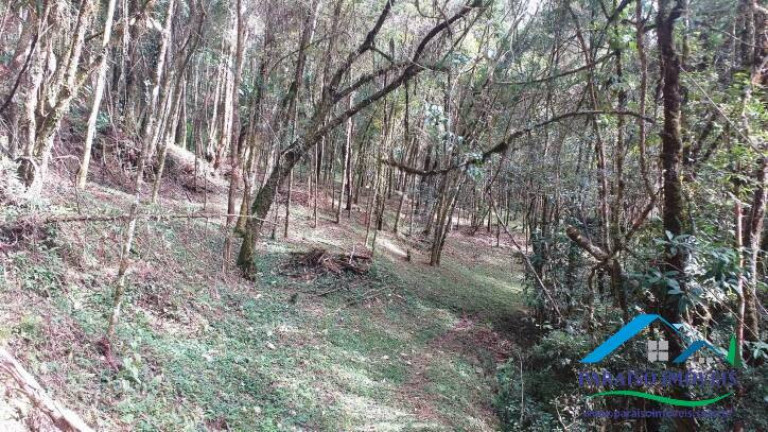 Imagem Terreno à Venda, 10.794 m² em Centro - Gonçalves Imagem Terreno à Venda, 10.794 m² em Centro - Gonçalves