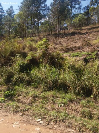 Imagem Terreno à Venda, 6.765 m² em Ouro Fino Paulista - Ribeirão Pires Imagem Terreno à Venda, 6.765 m² em Ouro Fino Paulista - Ribeirão Pires