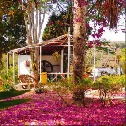 Imagem Chácara com 4 Quartos à Venda, 10.000 m² em Jardim Santa Vitória (canguera) - São Roque Imagem Chácara com 4 Quartos à Venda, 10.000 m² em Jardim Santa Vitória (canguera) - São Roque