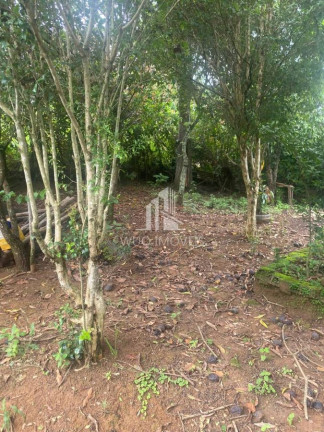 Imagem Chácara com 3 Quartos à Venda, 180 m² em Santa Teresa - Santa Branca Imagem Chácara com 3 Quartos à Venda, 180 m² em Santa Teresa - Santa Branca