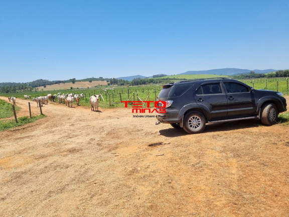 Imagem Imóvel à Venda, 175 m² em área Rural De Pouso Alegre - Pouso Alegre Imagem Imóvel à Venda, 175 m² em área Rural De Pouso Alegre - Pouso Alegre