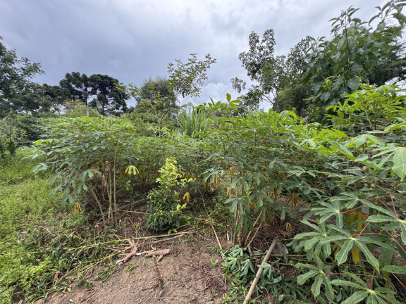 Imagem Imóvel à Venda, 5.500 m² em Rio Da Várzea - Quitandinha Imagem Imóvel à Venda, 5.500 m² em Rio Da Várzea - Quitandinha