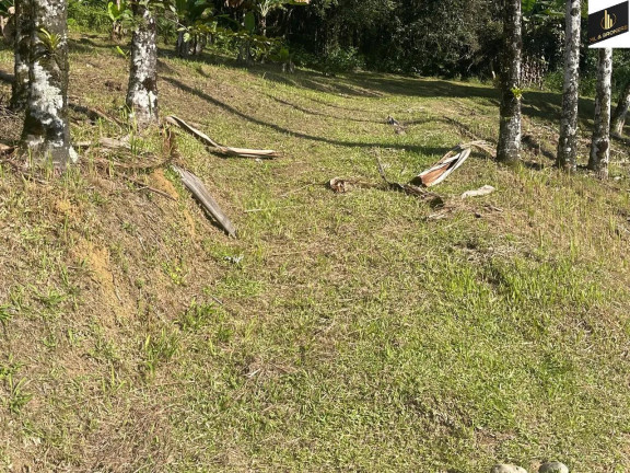 Imagem Imóvel à Venda, 20.000 m² em Zona Rural - Morretes Imagem Imóvel à Venda, 20.000 m² em Zona Rural - Morretes