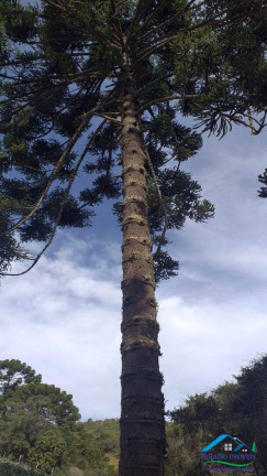 Imagem Terreno à Venda, 113.740 m² em Centro - Gonçalves Imagem Terreno à Venda, 113.740 m² em Centro - Gonçalves