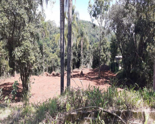 Imagem Imóvel à Venda, 1.350 m² em Pousada Da Neve - Nova Petrópolis
