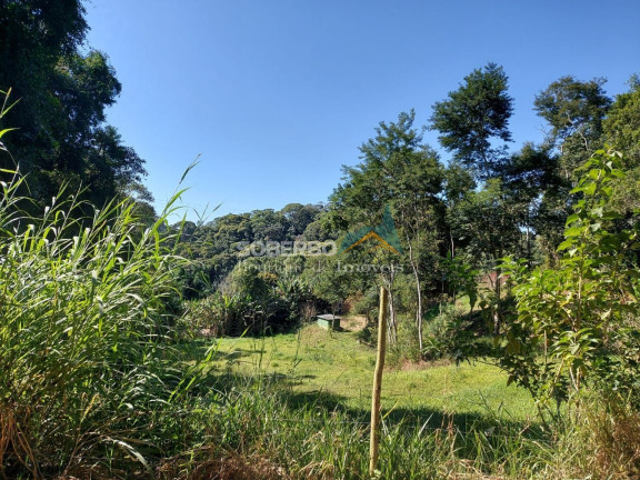 Imagem Imóvel com 3 Quartos à Venda, 70.000 m² em Vargem Grande - Teresópolis