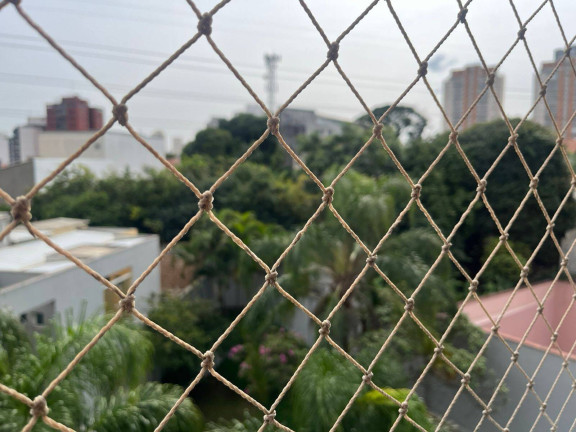 Imagem Apartamento com 2 Quartos para Alugar, 55 m² em Saúde - São Paulo Imagem Apartamento com 2 Quartos para Alugar, 55 m² em Saúde - São Paulo
