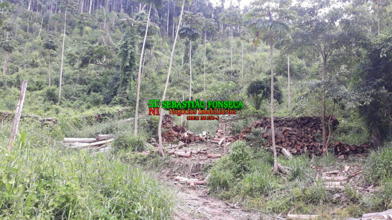 Imagem Chácara à Venda, 23 m² em Centro - Paraibuna Imagem Chácara à Venda, 23 m² em Centro - Paraibuna