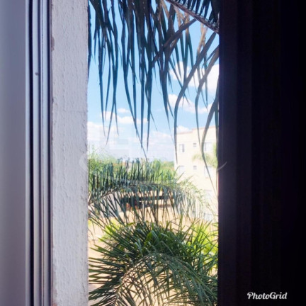 Imagem Imóvel com 2 Quartos à Venda, 49 m² em Sumarezinho - Ribeirão Preto Imagem Imóvel com 2 Quartos à Venda, 49 m² em Sumarezinho - Ribeirão Preto