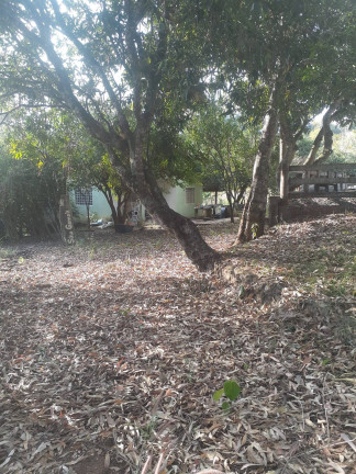 Imagem Chácara com 3 Quartos à Venda, 5 m² em Alexânia Imagem Chácara com 3 Quartos à Venda, 5 m² em Alexânia