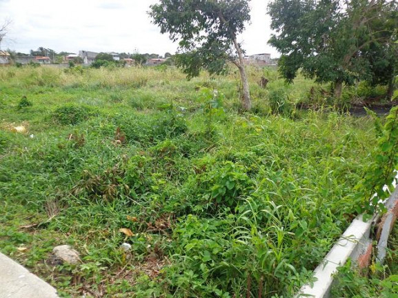 Imagem Terreno à Venda, 4 m²em Abrantes - Camaçari Imagem Terreno à Venda, 4 m²em Abrantes - Camaçari