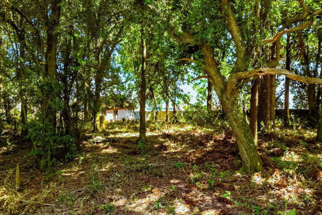 Imagem Terreno à Venda, 2.189 m² em Pinheirinho - Curitiba