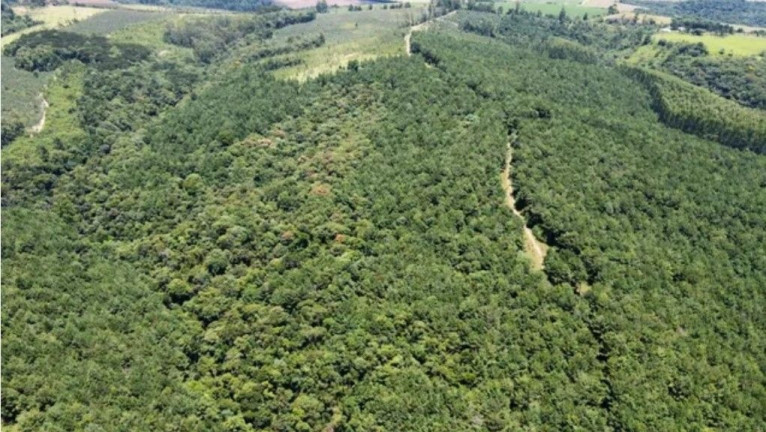 Imagem Fazenda à Venda,  em Residencial Impacel Ii - Arapoti