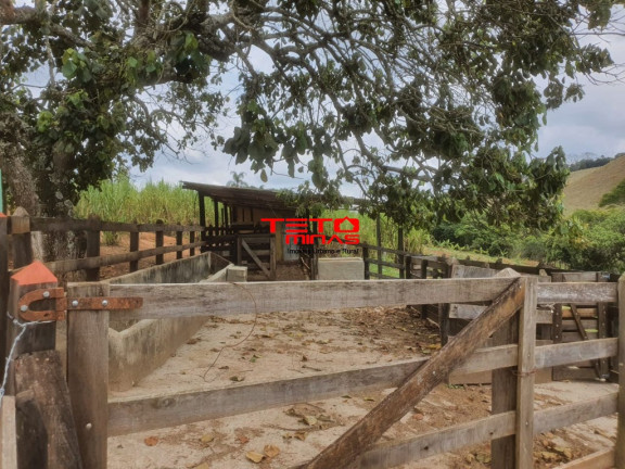 Imagem Imóvel com 2 Quartos à Venda, 190 m² em Zona Rural De São Lourenço - São Lourenço