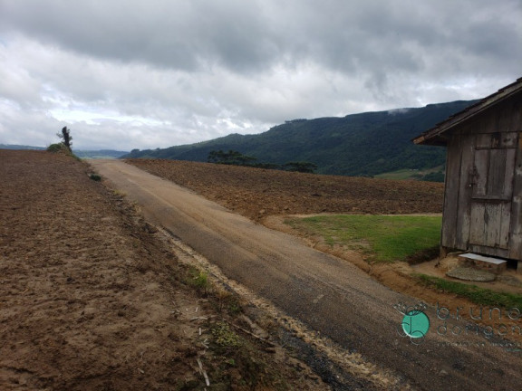 Imagem Imóvel com 1 Quarto à Venda, 60.000 m² em Zona Rural - Alfredo Wagner