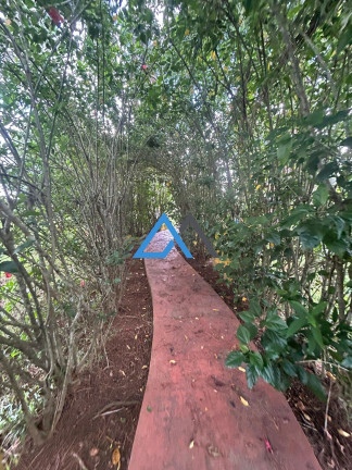 Imagem Imóvel com 9 Quartos à Venda, 95.000 m² em Jardim Sao Felipe - Atibaia