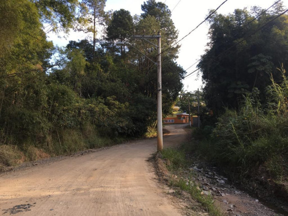Imóvel à Venda, 5.000 m² em Fazenda Aya - Suzano