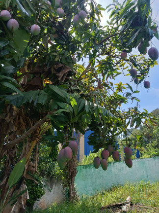 Imagem Casa com 2 Quartos à Venda, 112 m² em Terra Preta (terra Preta) - Mairiporã