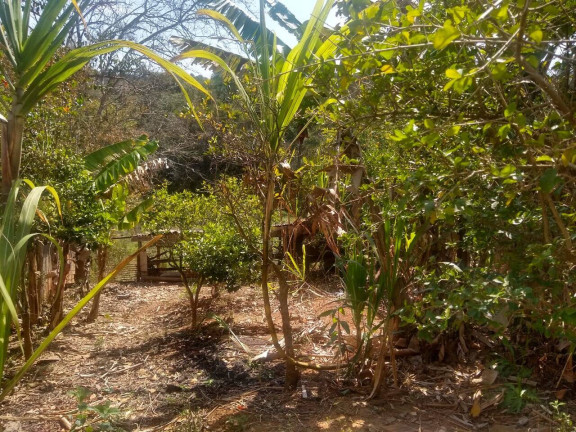 Imagem Chácara com 2 Quartos à Venda, 1.502 m² em Pilar Do Sul Imagem Chácara com 2 Quartos à Venda, 1.502 m² em Pilar Do Sul