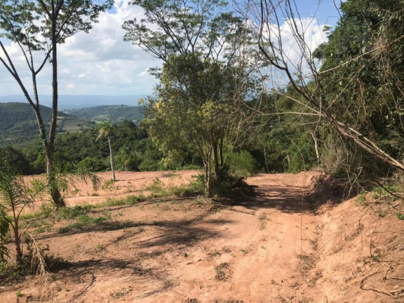Imagem Terreno à Venda,  em Lomba Grande - Novo Hamburgo