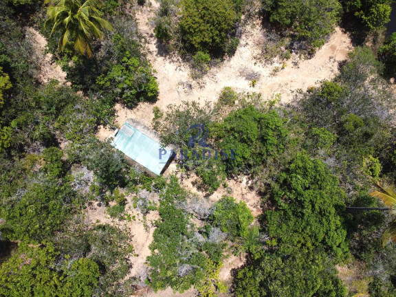 Imagem Terreno à Venda, 6.000 m² em Diogo - Mata De São João Imagem Terreno à Venda, 6.000 m² em Diogo - Mata De São João