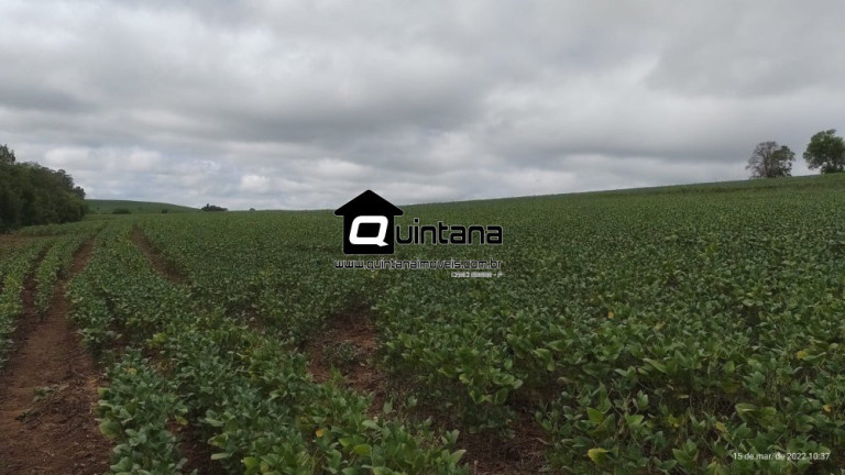 Imagem Imóvel com 2 Quartos à Venda, 700.000 m² em Barrocada - Cachoeira Do Sul