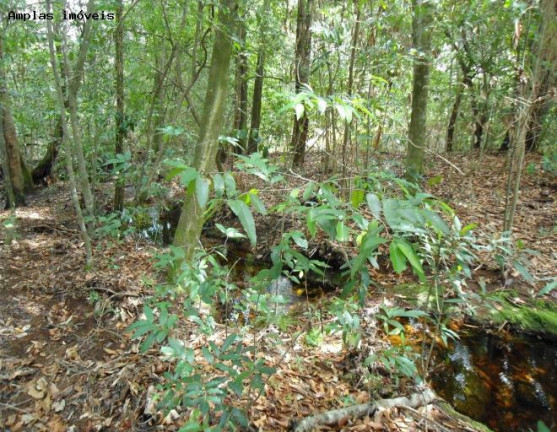 Imagem Fazenda à Venda, 164 m² em Monjolos área Rural - Monjolos Imagem Fazenda à Venda, 164 m² em Monjolos área Rural - Monjolos