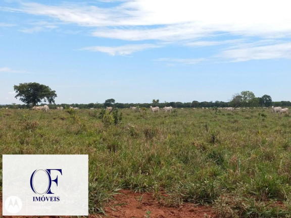 Imagem Fazenda à Venda, 3.097 m² em Rural - Chapadão Do Sul Imagem Fazenda à Venda, 3.097 m² em Rural - Chapadão Do Sul