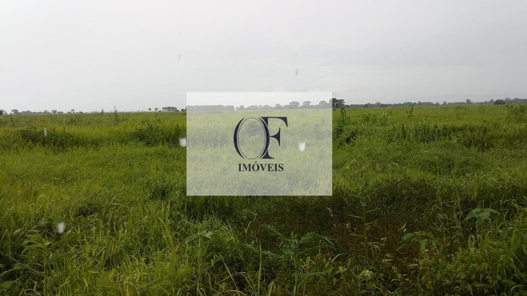 Imagem Fazenda à Venda, 24.000 m² em Pantanal - Corumbá Imagem Fazenda à Venda, 24.000 m² em Pantanal - Corumbá