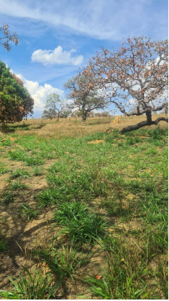 Imagem Chácara à Venda, 400 m² em área Rural De Luziânia - Luziânia Imagem Chácara à Venda, 400 m² em área Rural De Luziânia - Luziânia