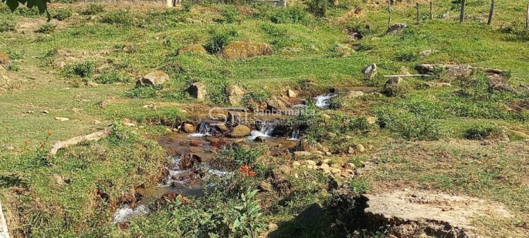 Imagem Imóvel com 4 Quartos à Venda, 431 m² em Morro Frio - Areias Imagem Imóvel com 4 Quartos à Venda, 431 m² em Morro Frio - Areias