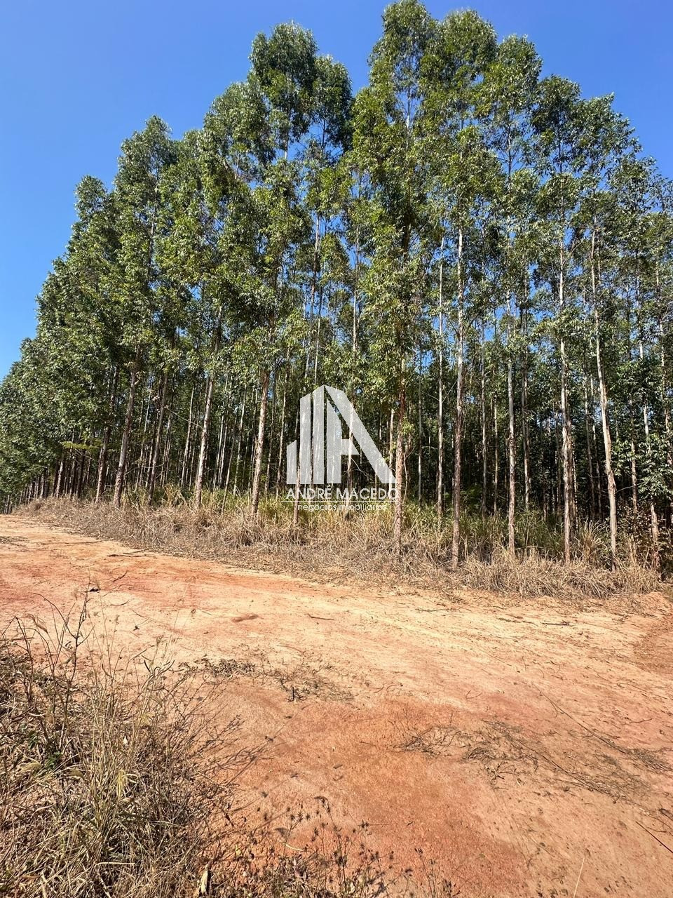 Imagem Imóvel à Venda,  em Mato Seco - Mogi Guaçu