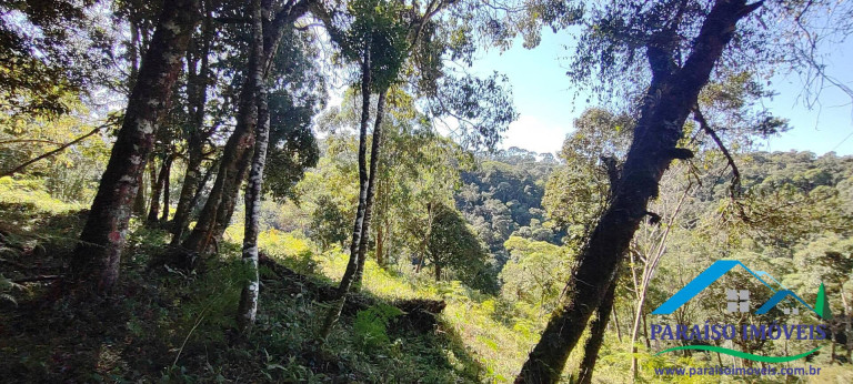 Imagem Chácara à Venda, 100 m² em Centro - Gonçalves
