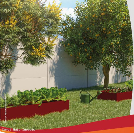 Imagem Apartamento com 2 Quartos à Venda, 43 m² em Nacional - Contagem Imagem Apartamento com 2 Quartos à Venda, 43 m² em Nacional - Contagem