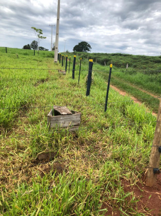 Imagem Chácara à Venda, 20 m² em Maria Helena - Maria Helena