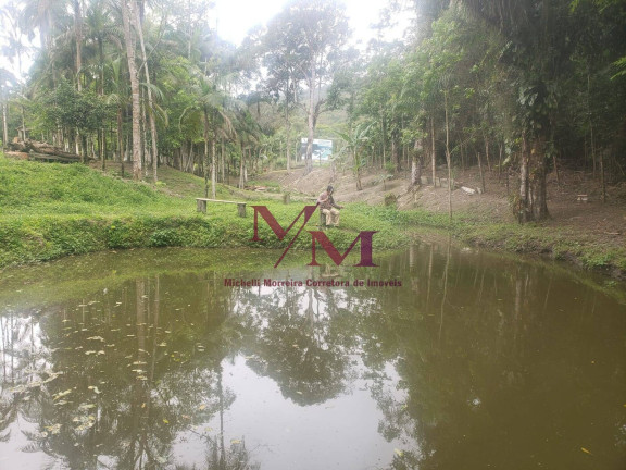 Imagem Chácara com 3 Quartos à Venda, 8.000 m² em Alexandra - Paranaguá