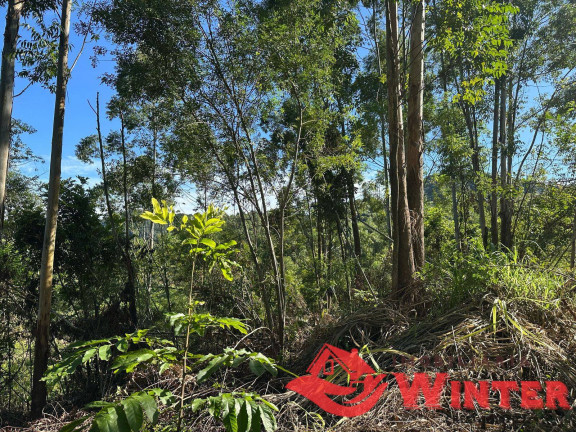 Imagem Chácara à Venda, 2.500 m² em Arroio Das Pedras - Bom Princípio Imagem Chácara à Venda, 2.500 m² em Arroio Das Pedras - Bom Princípio