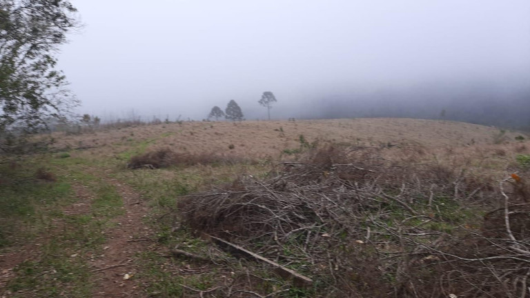 Imagem Fazenda à Venda, 20 m² em Campo Grande - Pilar Do Sul Imagem Fazenda à Venda, 20 m² em Campo Grande - Pilar Do Sul