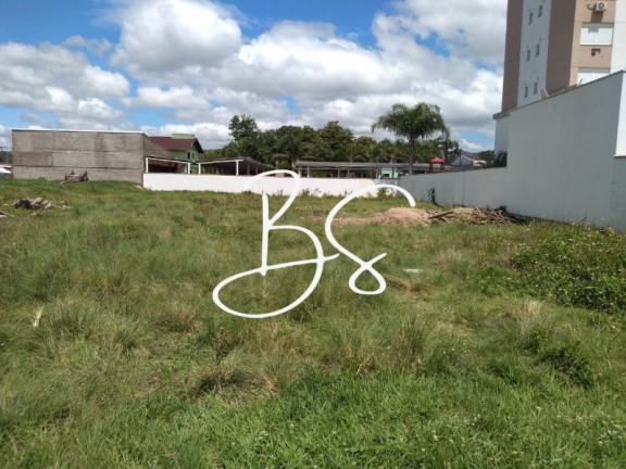 Imagem Terreno à Venda, 564 m² em Xv De Novembro - Igrejinha Imagem Terreno à Venda, 564 m² em Xv De Novembro - Igrejinha