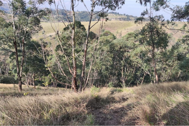 Imagem Terreno à Venda, 20.038 m² em Botujuru (botujuru) - Campo Limpo Paulista Imagem Terreno à Venda, 20.038 m² em Botujuru (botujuru) - Campo Limpo Paulista
